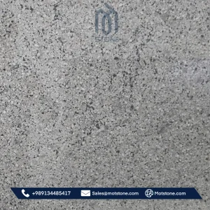 Dolphin Granite